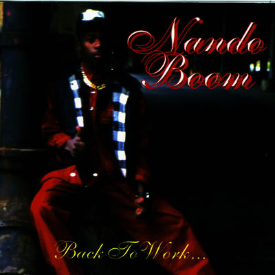 The cover of Back to Work by Nando Boom