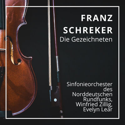 The cover of Die Gezeichneten by Franz Schreker