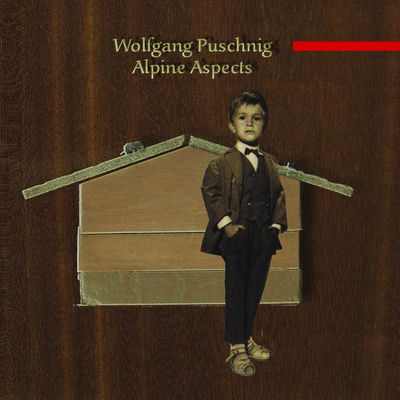 The cover of Alpine Aspects by Wolfgang Puschnig