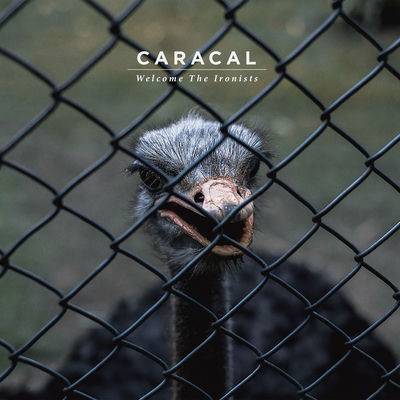 The cover of Welcome the Ironists by Caracal