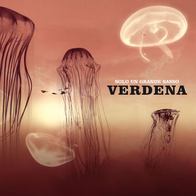 The cover of Solo un grande sasso by Verdena