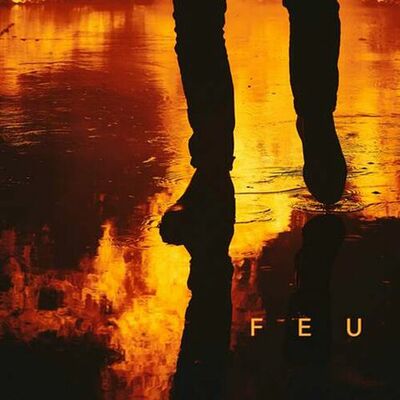 The cover of Feu by Nekfeu