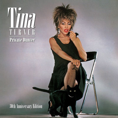 The cover of Private Dancer by Tina Turner