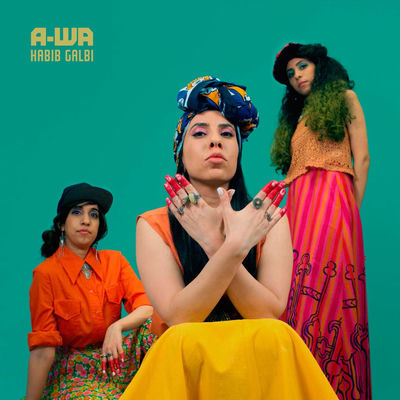 The cover of Habib Galbi by A-WA