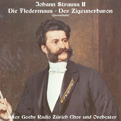 The cover of Der Zigeunerbaron by Johann Strauss II