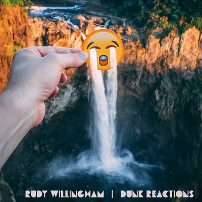 The cover of Dunk Reactions by Rudy Willingham