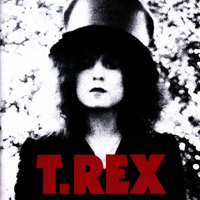 The cover of The Slider by T. Rex