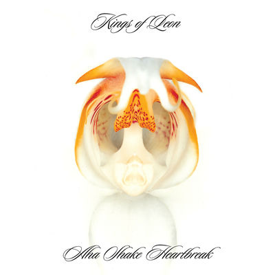 The cover of Aha Shake Heartbreak by Kings of Leon