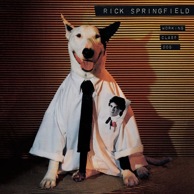 The cover of Working Class Dog by Rick Springfield