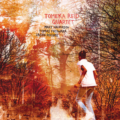 The cover of Tomeka Reid Quartet by Tomeka Reid