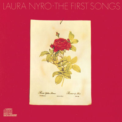 The cover of More Than a New Discovery by Laura Nyro