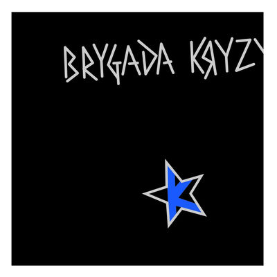 The cover of Brygada Kryzys by Brygada Kryzys