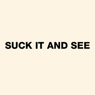 The cover of Suck It and See by Arctic Monkeys