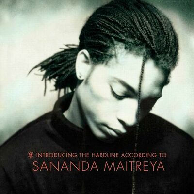 The cover of Introducing The Hardline According To Terence Trent D'Arby by Terence Trent D'Arby