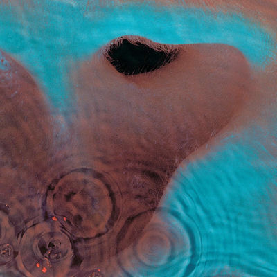 The cover of Meddle by Pink Floyd
