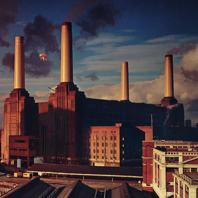 The cover of Animals by Pink Floyd
