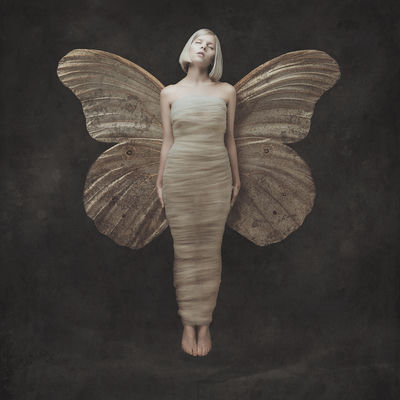 The cover of All My Demons Greeting Me as a Friend by Aurora