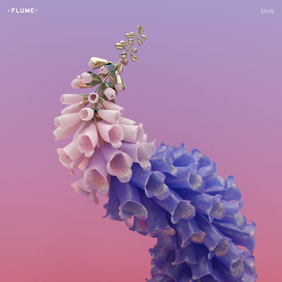 The cover of Skin by Flume