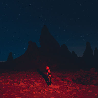 The cover of Punisher by Phoebe Bridgers
