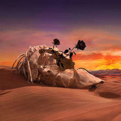 The cover of Black Rose by Madd