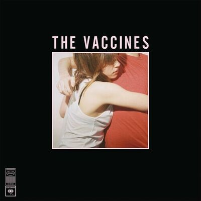 The cover of What Did You Expect from the Vaccines? by The Vaccines