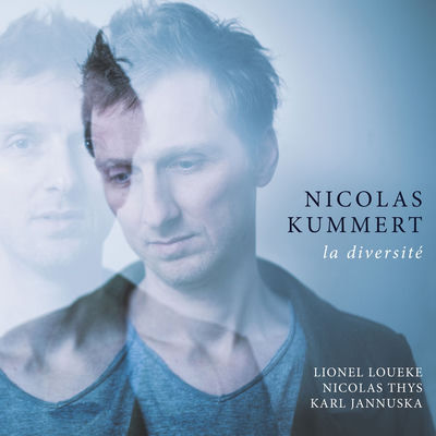 The cover of La diversité by Nicolas Kummert