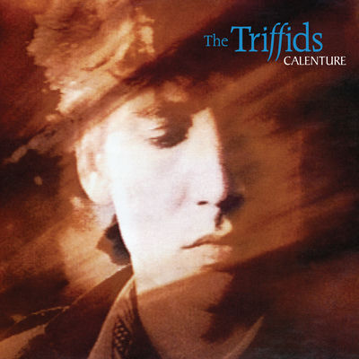 The cover of Calenture by The Triffids