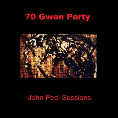 The cover of John Peel Sessions by 70 Gwen Party