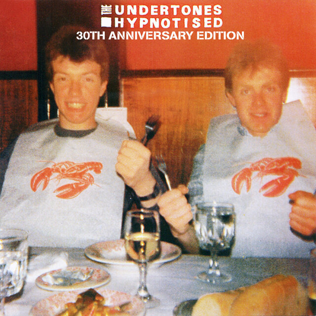 The cover of Hypnotised by The Undertones