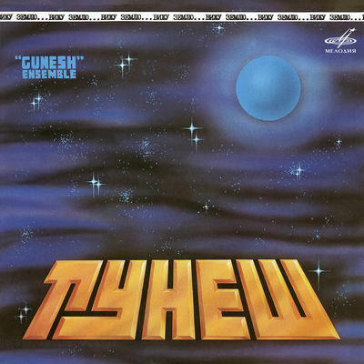 The cover of Looking at the Earth by Gunesh