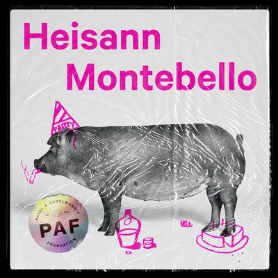 The cover of Heisann Montebello by Karpe