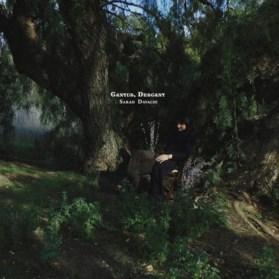 The cover of Cantus, Descant by Sarah Davachi
