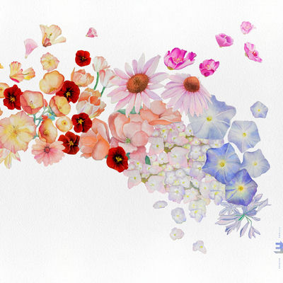 The cover of Flor by Gretchen Parlato
