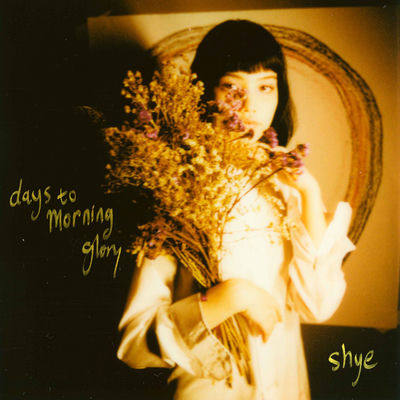 The cover of days to morning glory by Shye