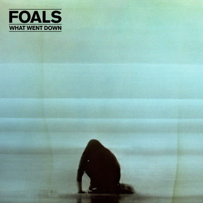 The cover of What Went Down by Foals