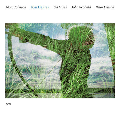 The cover of Bass Desires by Marc Johnson