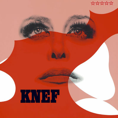 The cover of Knef by Hildegard Knef