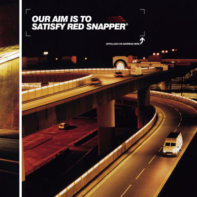 The cover of Our Aim Is To Satisfy by Red Snapper