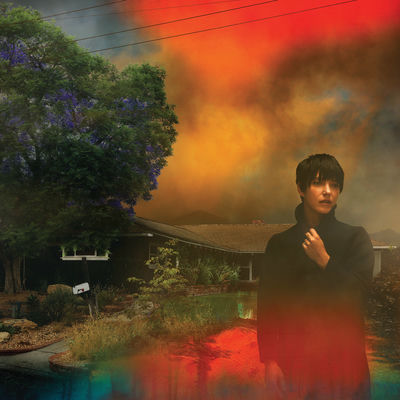 The cover of We've Been Going About This All Wrong by Sharon Van Etten