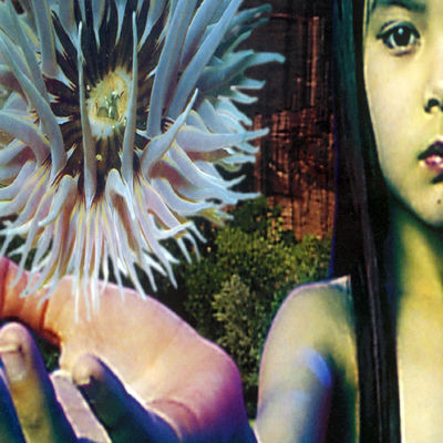 The cover of Lifeforms by The Future Sound of London