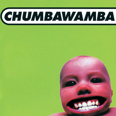 The cover of Tubthumper by Chumbawamba