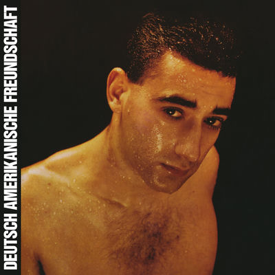 The cover of Alles ist gut by DAF