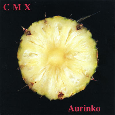 The cover of Aurinko by CMX