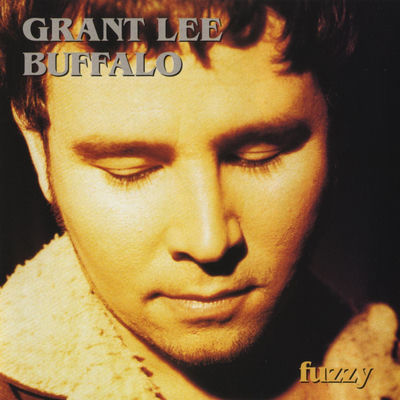 The cover of Fuzzy by Grant Lee Buffalo