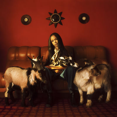 The cover of Capricorn Sun by TSHA
