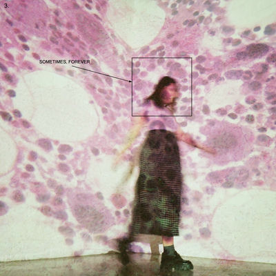 The cover of Sometimes, Forever by Soccer Mommy