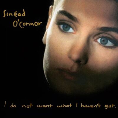 The cover of I Do Not Want What I Haven't Got by Sinéad O'Connor