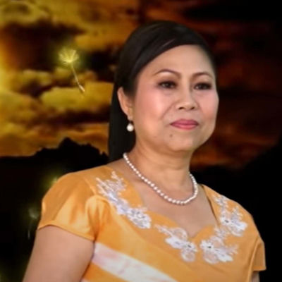The cover of Phouvieng Varttaleesak Songs by Phouvieng Varttaleesak