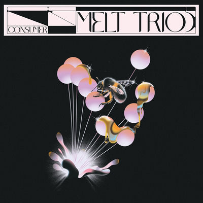 The cover of Consumer by Melt Trio