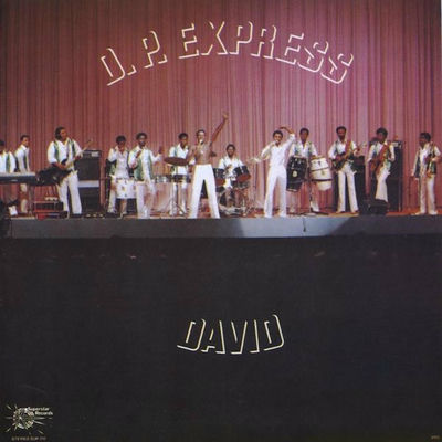 The cover of David by DP Express